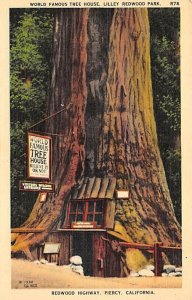 World Famous Tree House Lilley Redwood Park Piercy CA