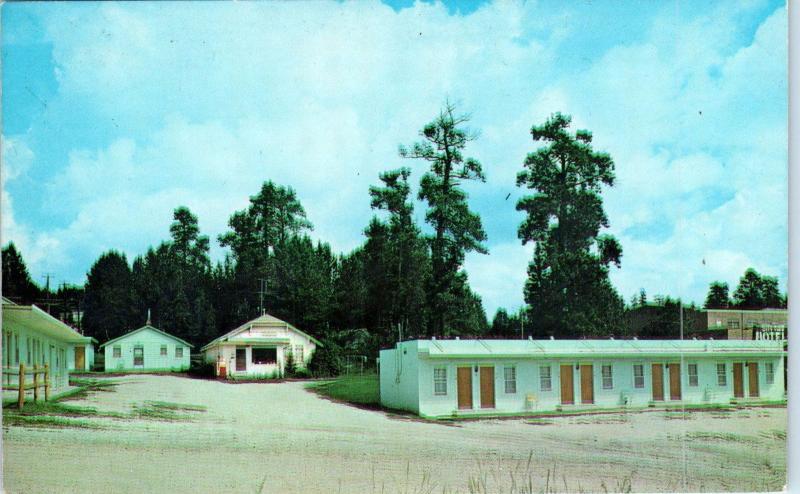 CUSTER, SD South Dakota   CITY VIEW MOTEL   c1960s   Roadside   Postcard