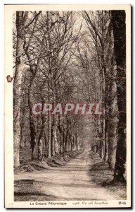 Old Postcard Creuse Sous Bois Joli A Picturesque