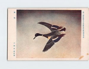 Postcard Fly 2nd Shotoku Taishi Art Exhibition