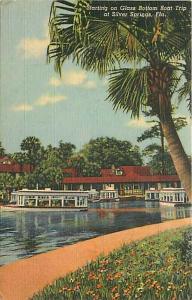 FL, Silver Springs, Florida, Glass Bottom Boat Trip, Curteich No. 1B-H1612