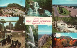 Vintage Postcard Greetings From Great Smoky Mountains National Park Landmarks