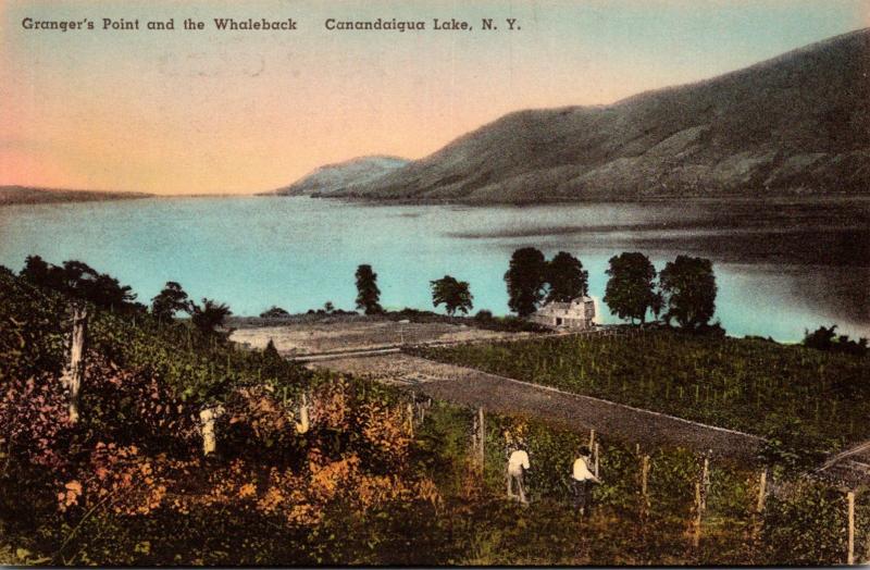 New York Canandaigua Granger's Point and The Whaleback Handcolored Alber...