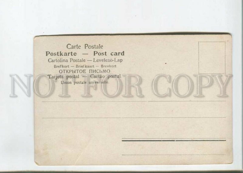 473055 MULLER Mueller HUNT Partridge Winter Vintage postcard