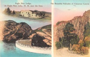 Eagle Nest Lake New Mexico Eagle Nest Lodge Cimarron Canyon Postcard AA25283