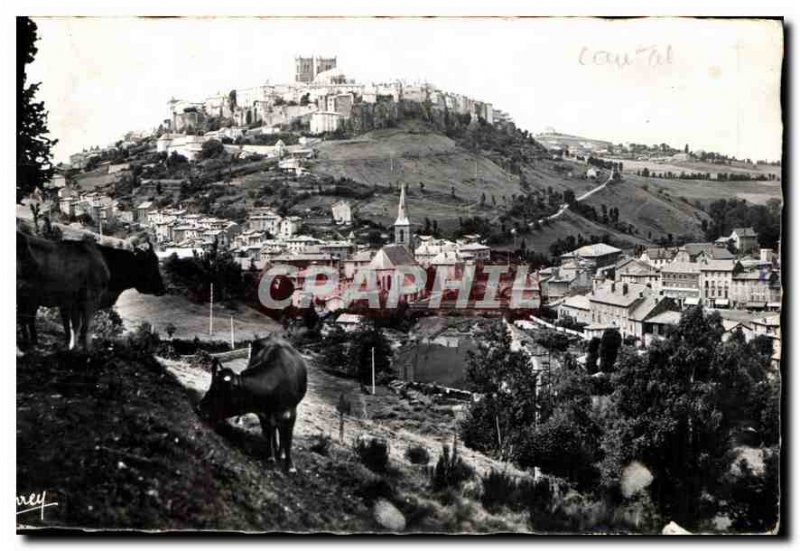 Postcard Old St Flour Cantal General view Cows