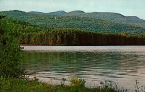 Catskill Mountains New York NY Cooper Lake Route 212 Postcard 