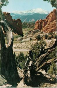 Pikes Peak near Colorado Springs CO Union Pacific Railroad Vintage Postcard D82