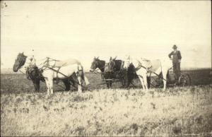 Farmer Horse Plow Team Apparatus c1910 Real Photo Postcard