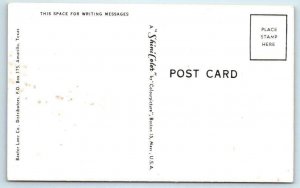 Large Letter Chrome AMARILLO, TX ~ Texas Panhandle 1950s Colourpicture Postcard