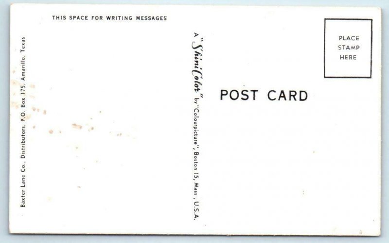 Large Letter Chrome AMARILLO, TX ~ Texas Panhandle 1950s Colourpicture Postcard