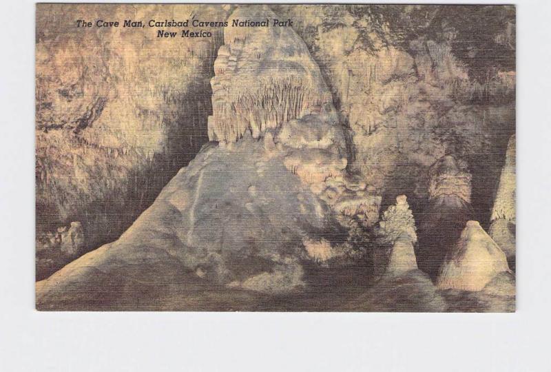 VINTAGE POSTCARD NATIONAL STATE PARK CARLSBAD CAVERNS CAVE MAN