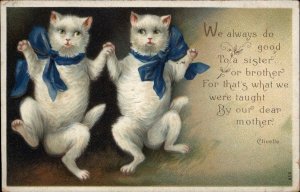 Clivette Fluffy White Cats Dancing Blue Ribbons Brother Sister Siblings c1910 PC