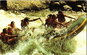 Brown’s Canyon River Runners Salida Arkansas River Whitewater Rafting Postcard 