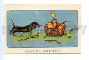 496031 EASTER Dachshund Eggs Chicks russian postcard