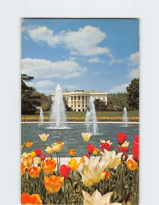 Postcard Loving Cups Of Springs, White House in Washington, District of Columbia