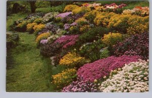 Rock Garden, Hamilton, Ontario, Vintage Chrome Postcard #3