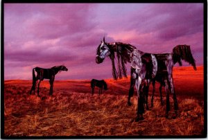 Bleu Horses metal art by Jim Dolan at sunset near Three Forks Montana Postcard