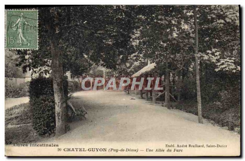 Old Postcard Chatel Guyon A Allee Du Parc