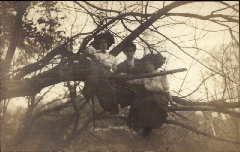 Romance - Man & Two Women in Tree c1910 Amateur Real Photo Postcard