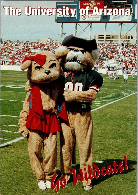 Wilbur and Wilma Wildcat Mascots University of Arizona Tucson Postcard L65