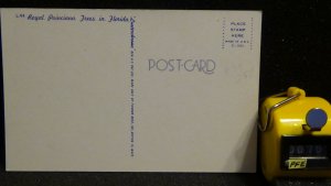 Royal Poinciana Trees Florida Unposted