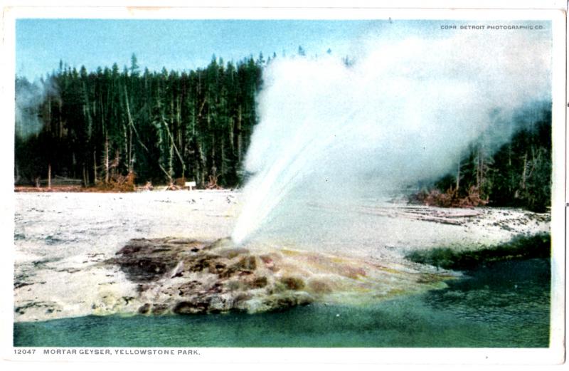 YELLOWSTONE, MORTAR GEYSER, DIVIDED BACK