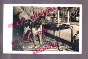 Dickinson NORTH DAKOTA RPPC c1940 FAMOUS DOG Mascot ST. CHARLES HOTEL Interior