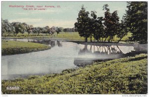 Blackberry Creek, near AURORA, Illinois, The City of Lights, 00-10s