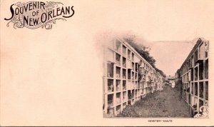 Louisiana New Orleans Souvenir Showing Cemetery Vaults Private Mailing Card