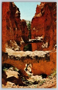 National & State Parks~Two Bridges Bruce Canyon Park Utah~Vintage Postcard