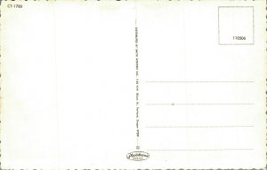 USA Mt. Hood Oregon Vintage Postcard BS.06