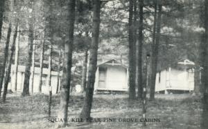 SQUAW KILL BEAR PINE GROVE CABINS ANTIQUE POSTCARD