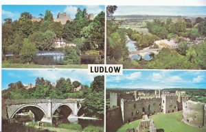 Shropshire Postcard - Views of Ludlow    XX540