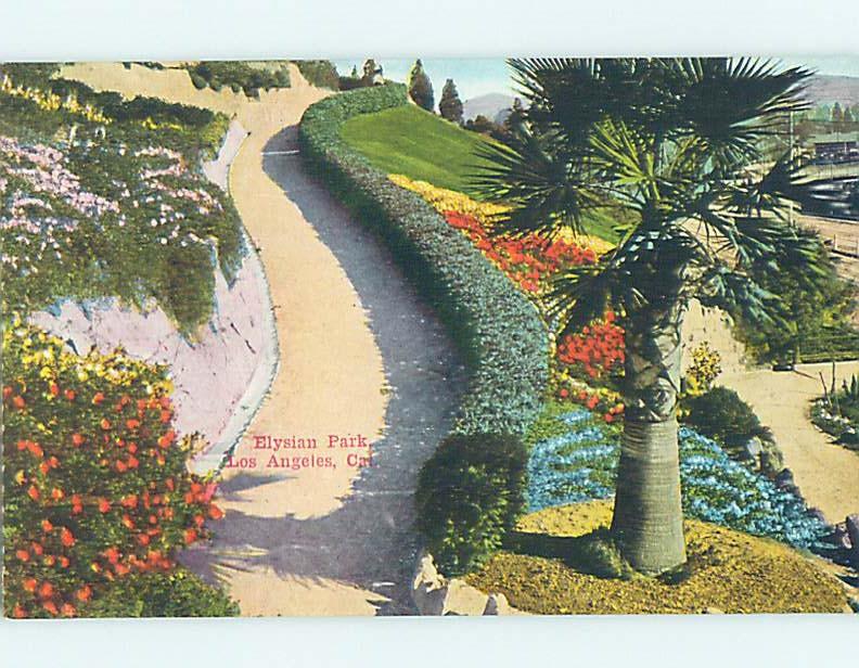 Unused Divided-Back PARK SCENE Los Angeles California CA hk8832