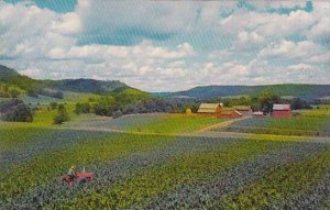 Nebraska Lush Farm Land