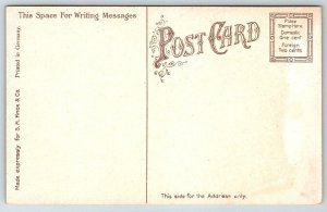 Ivy Bridge  Delaware Ave  Buffalo  New York  Postcard  c1910