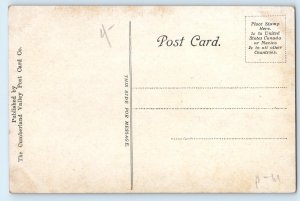 1910 Waynesboro Pennsylvania Vintage Postcard South Broad St Road Houses Trees