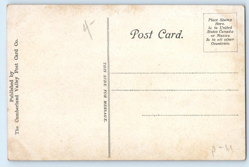 1910 Waynesboro Pennsylvania Vintage Postcard South Broad St Road Houses Trees