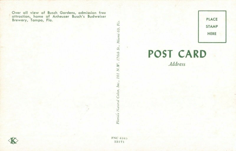 Postcard Busch Gardens Tampa Florida