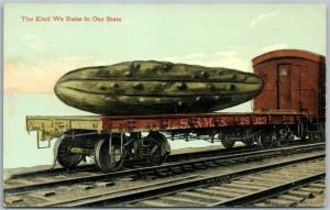 CUCUMBERS WE RAISE IN OUR STATE EXAGGERATED ANTIQUE POSTCARD