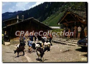 Postcard Old Approx Morzine Haute Savoie Lindarets the Goats entertain the Sm...