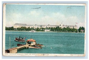 C. 1910 The Royal Poinciana From Lake Worth Fla Postcard P222E