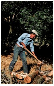 Ronald Reagan , splitting wood