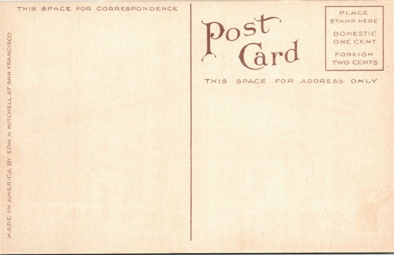 Postcard WA Seattle Labor Temple Water Hydrant ~1910 H12