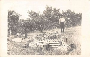 Liverpool Pennsylvania Orchard Scene Real Photo Vintage Postcard AA25378