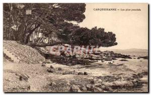 Old Postcard Carqueiranne Les Pins Penches