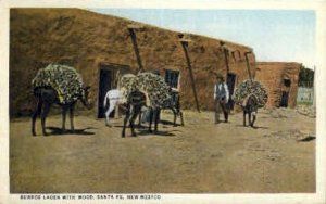 Burros Laden with Wood in Santa Fe, New Mexico