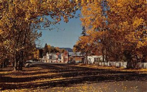 Chester California Scenic View of Town Gas Station Vintage Postcard U2076