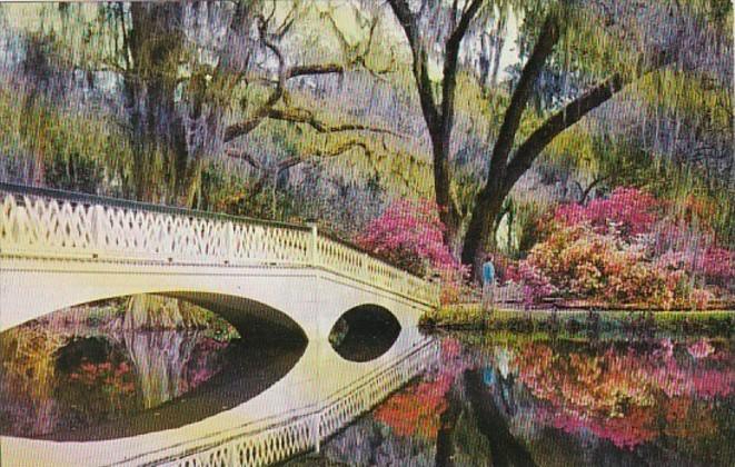 South Carolina Charleston Magnolia Gardens Rustic Bridge